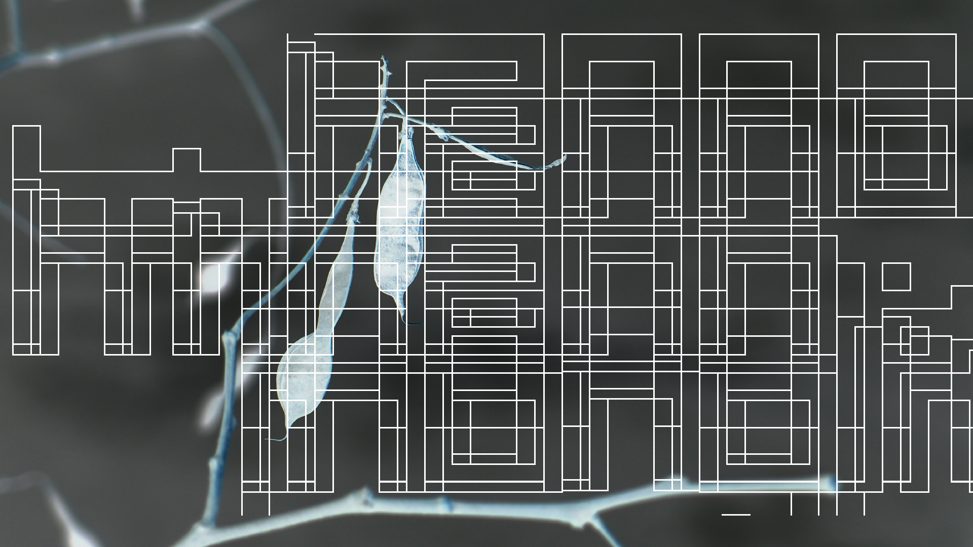 2021-03-10 Hanno Leichtmann - 1996 Monolith (rauschpartikel Remix 1 - 3)